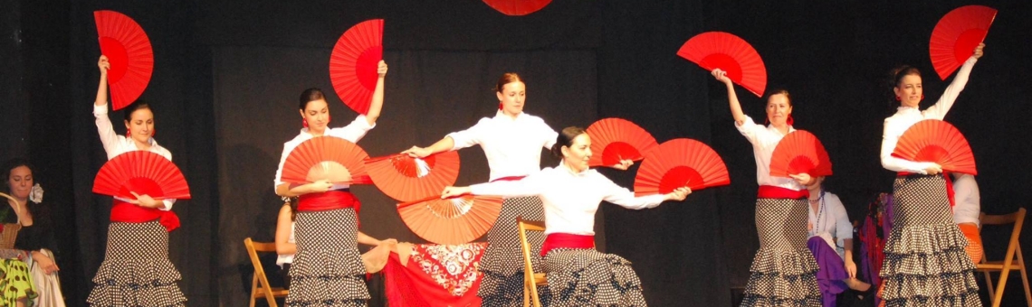 Escuela de baile Aerodance: Pasión en movimiento