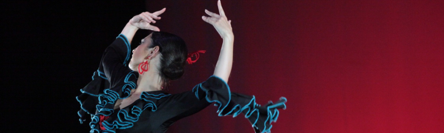 Escuela de baile Danza Adagio: Pasión en movimiento