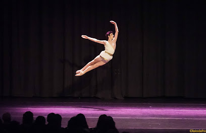 ¡Siente el ritmo en Madrid Dance Center!