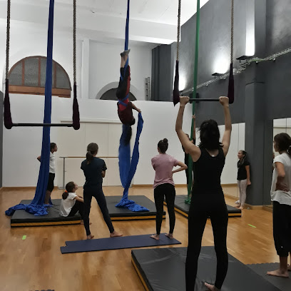 ¡Siente el ritmo en Projecte Dansa