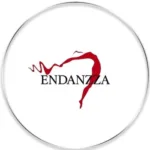 ¡Endanzza: la academia de baile que te hará brillar en Madrid!