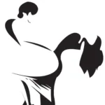 ¡Baila con pasión en OkiDance Barcelona!