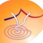 ¡Siente la pasión del baile en ROJO Y NEGRO La Laguna!