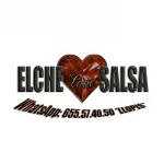 ¡Siente el ritmo en Love Salsa Elche!