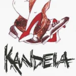 Aprende a bailar en Donostia con Kandela: ¡ritmo y diversión garantizados!
