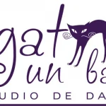 ¡Pgat un Ball: Tu academia de baile en Castellón!